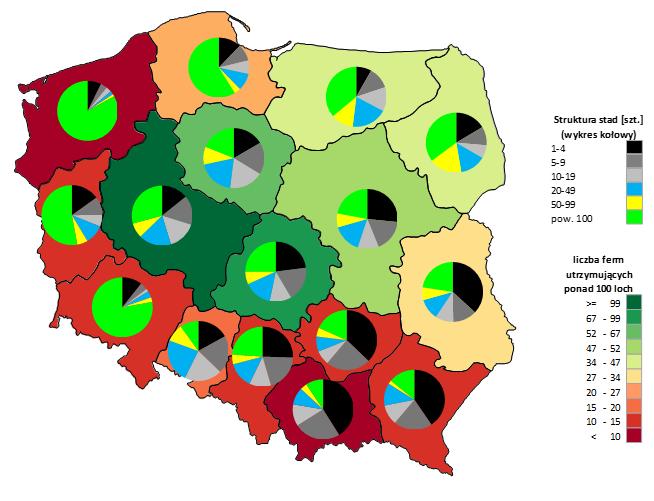 Liczba dużych ferm i struktura stada loch w Polsce Wnioski procesy koncentracji produkcji zwierzęcej wśród najważniejszych producentów na świecie są znacznie bardziej zaawansowane niż w