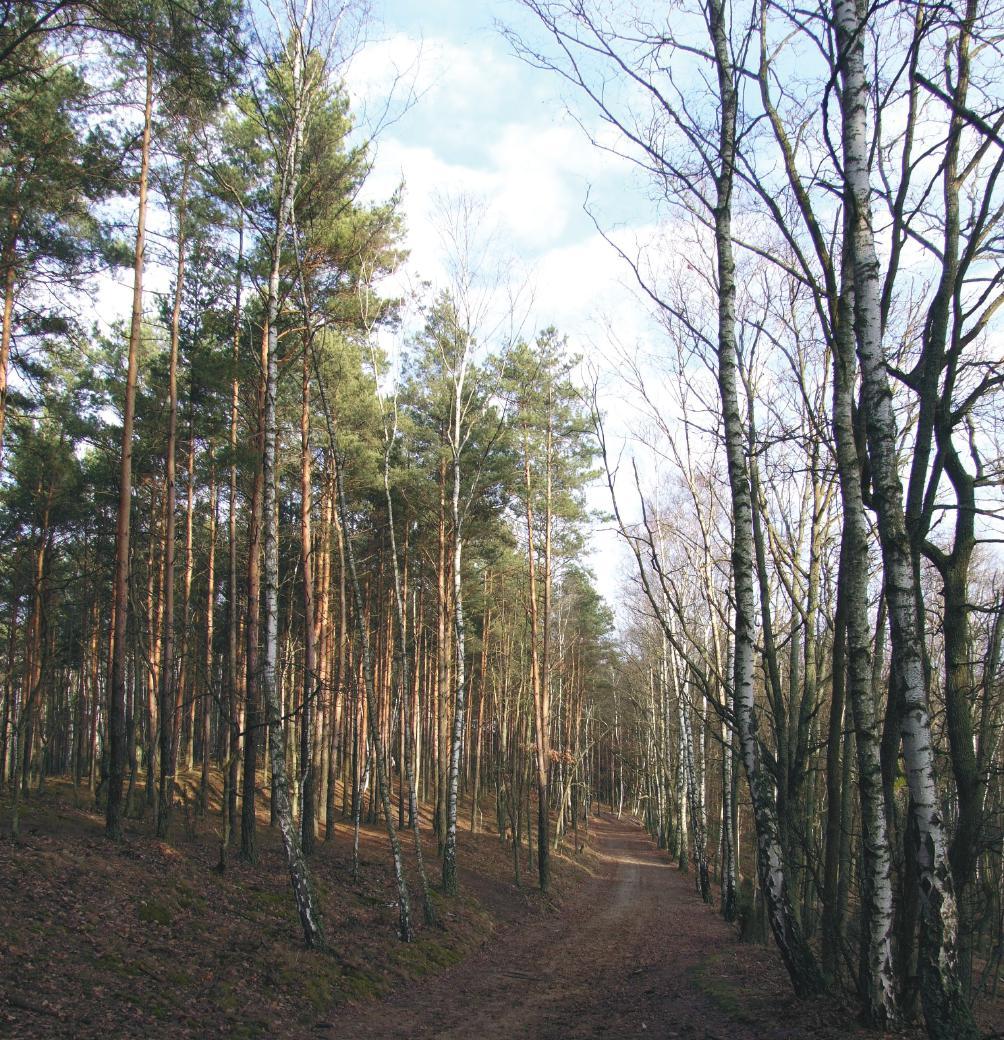 60 Między Wisłą a Kampinosem