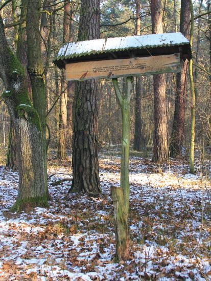 Ta licząca 4 km trasa poprowadzona jest tak, aby można było zaobserwować koegzystencję ludzi z dziką przyrodą, po części pozbawioną ingerencji człowieka.