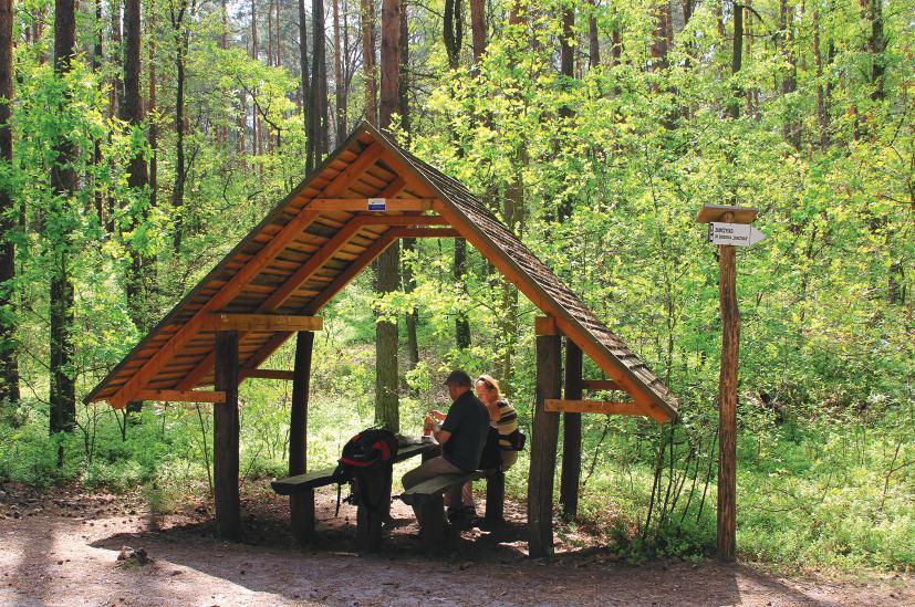 Turystyka, czyli safari z aparatem 61 Na safari jeździ się głównie do egzotycznych krajów, lecz można wybrać się na nie również i w Polsce.