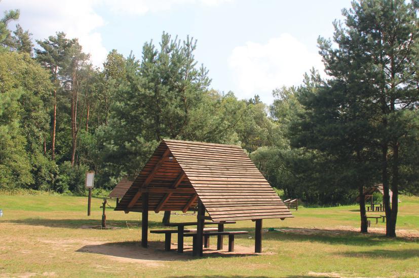 Turystyka, czyli safari z