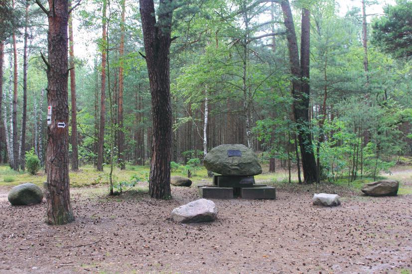 66 Między Wisłą a Kampinosem Kamień