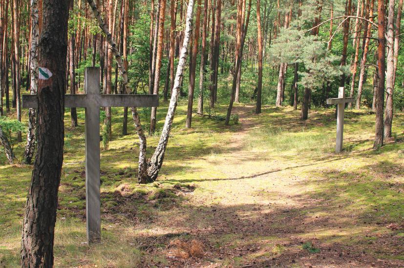przy ścieżce Wokół Palmir Jedno z kilku miejsc, w