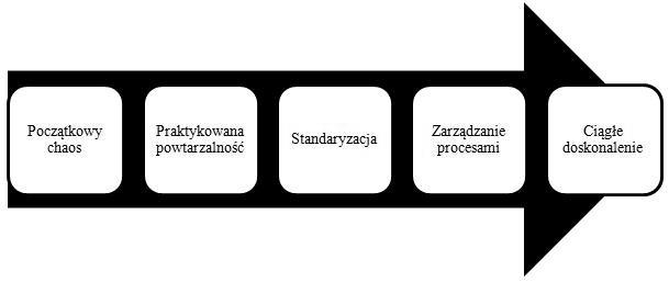 120 Zarządzanie ganizacji niedojrzałych do zarządzania procesowego.