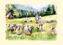 Pieniny - Sokolica