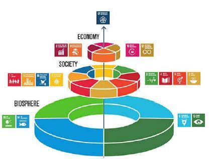 Wykres (8): [Internet] dostępne na stronie: https://www.stockholmresilience.org/research/research-news/2016-06-14-how-foodconnects-all-the-sdgs.