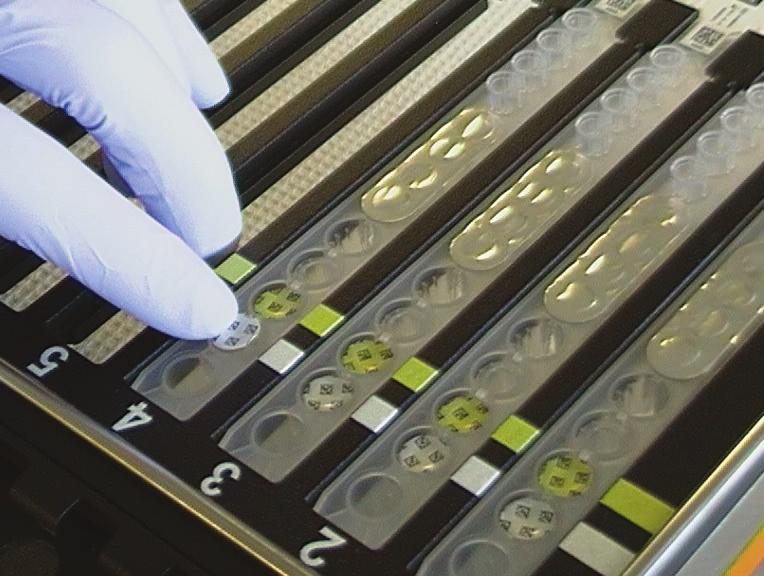 Rysunek 1: Wcisnąć probówki ekstrakcyjne z zestawu BD MAX MRSA XTi probówki z mieszaniną wzorcową do scalonych pasków z odczynnikami. 8.