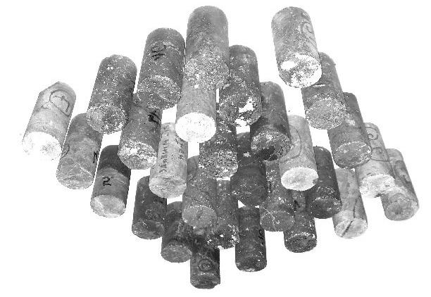 próbki z³o a mineralnego (8 próbek o œrednicy 30