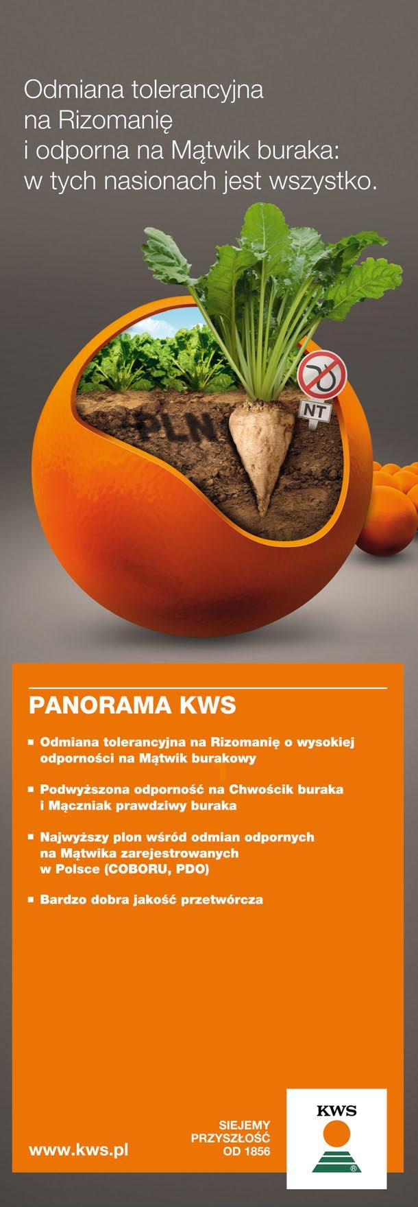 alternata jest patogenem słabości i nie atakuje liści zdrowych i dobrze rozwijających się.