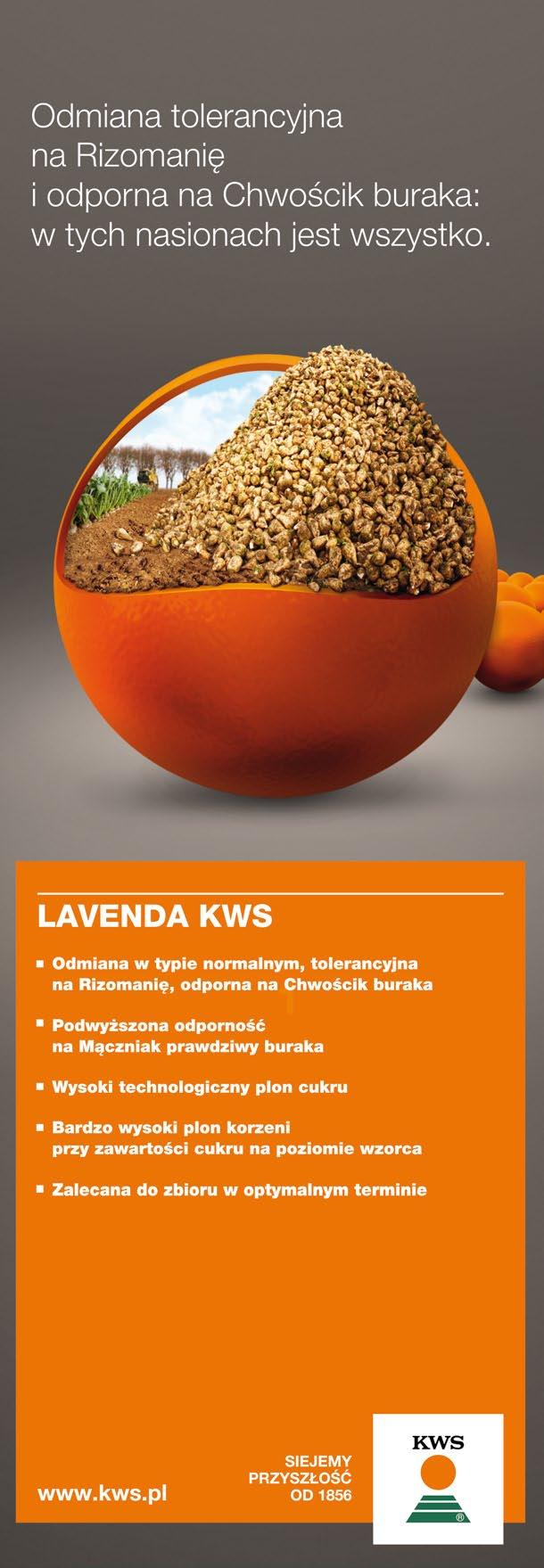 PO STRONIE PLANTATORA wanych lub przewapnowanych. Symptomy deficytu można zaobserwować na młodych, ale w pełni rozwiniętych liściach (Fot. 6).