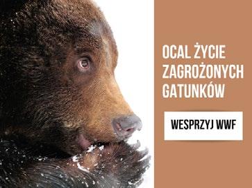 Podczas akcji wszystkie zdrowe osoby w wieku 18-55 lat mogą bezpłatnie zarejestrować się w bazie potencjalnych dawców komórek macierzystych. SPOTKANIE Z FUNDACJĄ WWF: 20-25.