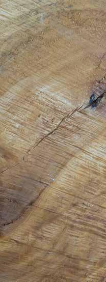 Hirnholzschutz Powłoka do zabezpieczania powierzchni cięć czołowych drewna przed wilgocią Obszary stosowania: Właściwości: Zużycie: Do drewna stosowanego w pomieszczeniach i na otwartej przestrzeni