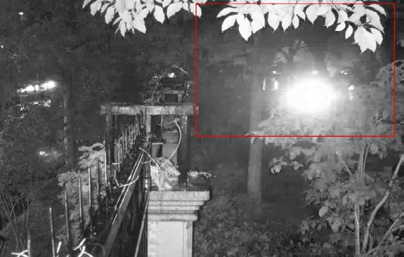 Zwierzęta Lampy Deszcz Pajęczyny Gałęzie lub liście Fałszywe alarmy wywoływane