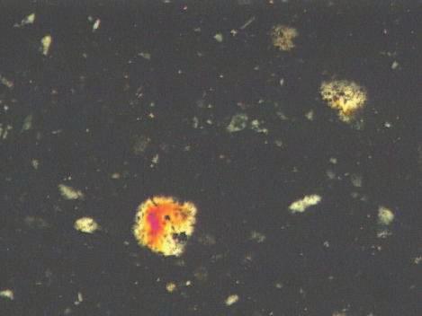 Wielkość ziaren osiągała 0,100 mm średnicy (rys. 6). Mullit miał kształt pręcików o wielkości maksymalnej do 0,425 mm. Występował w postaci pojedynczych słupków lub tworzył agregaty (rys. 7 i 8).