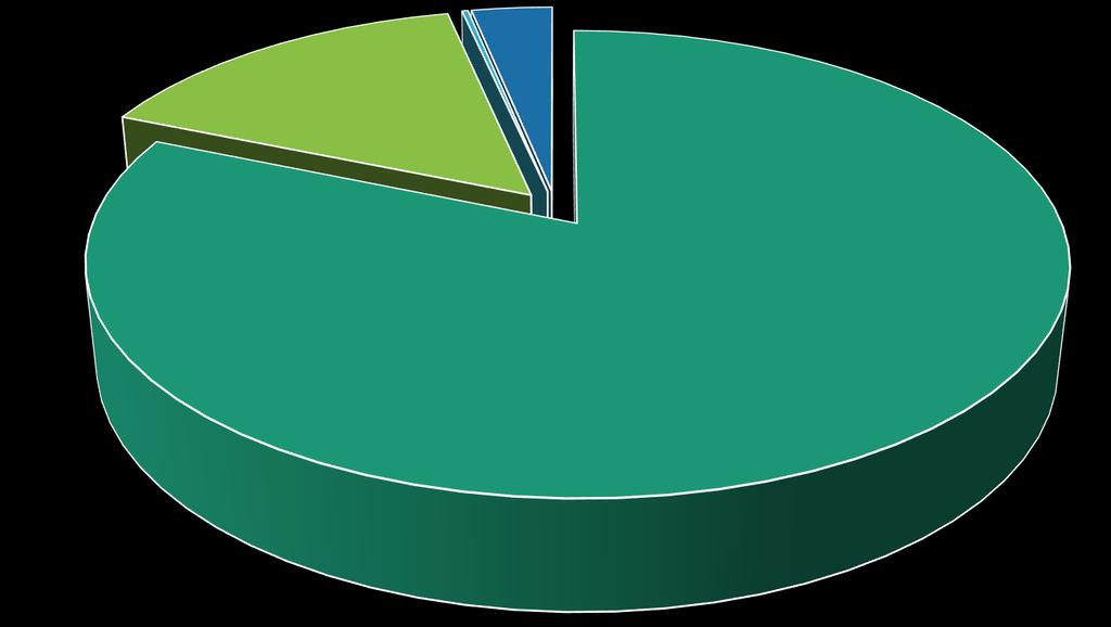 Przychody PFRON 0,24 % 3,20 % 15,28% 81,28 %