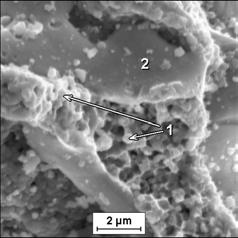 b) NiCr-Cr 3 C 2, spherical particles of the NiCr matrix, c) NiCr-Cr 3 C