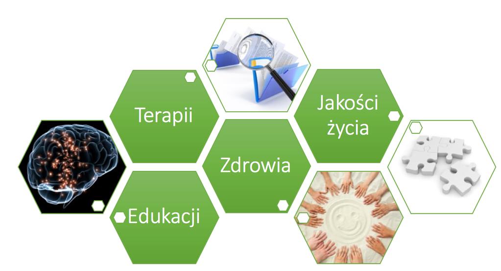OBSZARY DZIAŁALNOŚCI/BADANIA Głównym założeniem jest zaangażowanie się Fundacji w