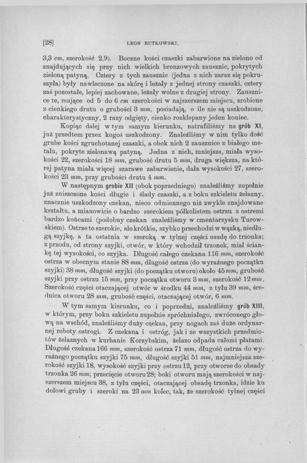 [28] LEON KOTKOWSKI. 3,3 cm, szerokość 2,9). Boczne kości czaszki zabarwione na zielono od znajdujących się przy nich wielkich branżowych zausznic, pokrytych zieloną patyną.