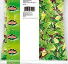 SALSA MIX  frisee,
