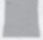 32914988 SAŁATA ROSZPONKA