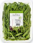 FLOWPACK sprzedaż po 100 g 34113381 TYMIANEK FLOWPACK sprzedaż po 100 g 33729062 ROZMARYN FLOWPACK