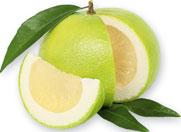 CANTALOUPE
