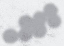 kg 61355269 