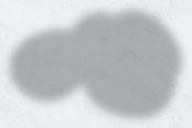kg 35005842 