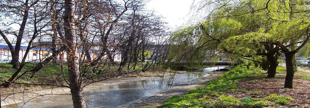 Woda Na terenie miasta Katowice, jak również w całym województwie śląskim, dużym problemem w gospodarce wodno-ściekowej jest stan jakości wód powierzchniowych i podziemnych.
