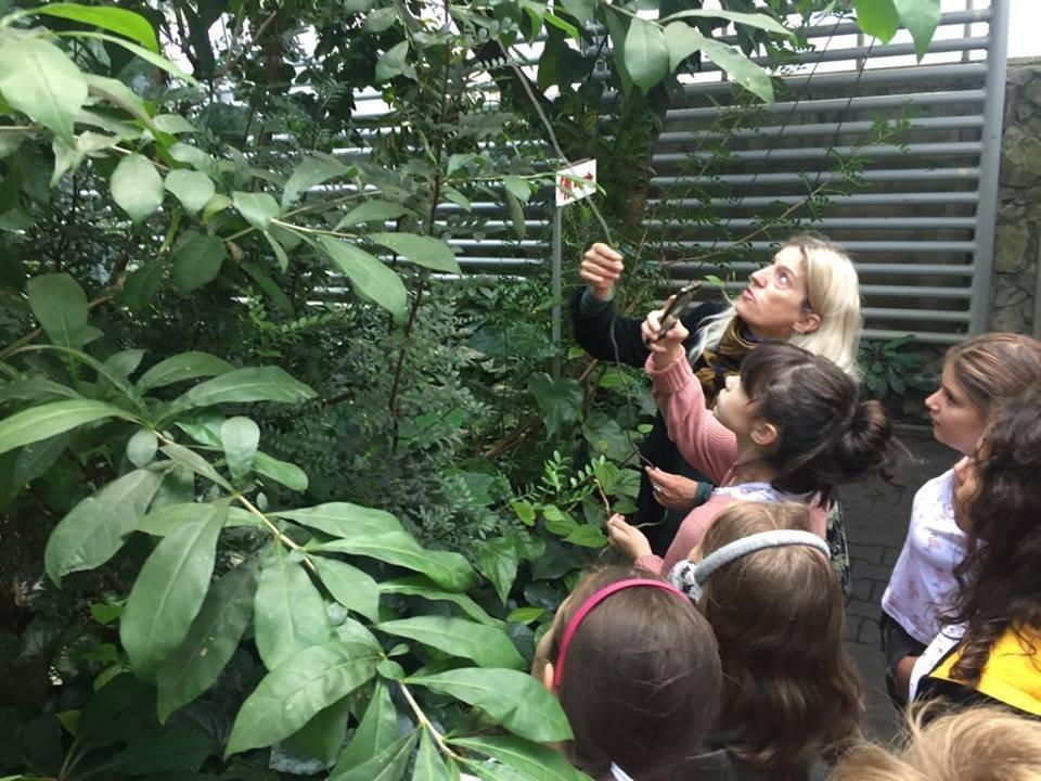 Ogród Botaniczny jesienią 27 września uczniowie klasy 6d wyruszyli na wycieczkę do Ogrodu Botanicznego w Warszawie. Mieli okazję zaobserwować, jakie zmiany zachodzą w przyrodzie jesienią.