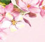 MA 01876 (978) 851-9103 Rosaries from Flowers Handmade from the Flowers of