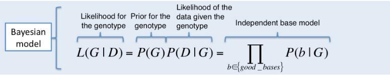 Samtools oraz GATK Unified Genotyper Opiera się na modelu statystyki Bayesowskiej gdzie wyznaczamy wiarygodność (ang.