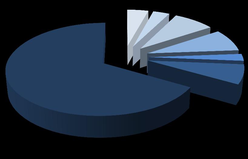 11 Akcjonariat Spółki Liczba akcji 6 024 000 Liczba głosów 7 652 250 66,75% Jolanta Marzec- Zdzisław