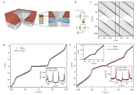 Coupled Electron Spins