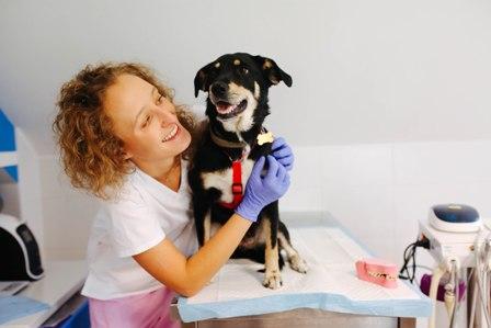 Stomatologia zwierząt to moja pasja 2 Jak zostać specjalistą od chorób jamy ustnej dla zwierząt? Czy trzeba mieć do tego specjalne predyspozycje?