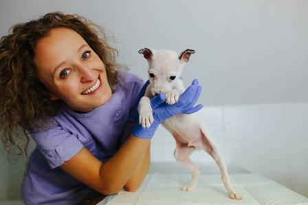 Stomatologia zwierząt to moja pasja 6 Zdobyła Pani szereg doświadczeń praktykując w Polsce i za granicą, czy jest coś co Panią szczególnie zaskoczyło lub zainspirowało podczas zagranicznych praktyk?
