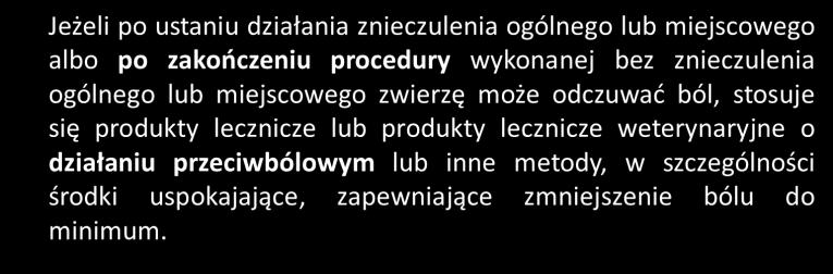 c) interwencje chirurgiczne i inne interwencje u zwierząt w znieczuleniu ogólnym, które mogą skutkować znacznym lub uporczywym bólem pooperacyjnym, cierpieniem lub dystresem lub znacznym i