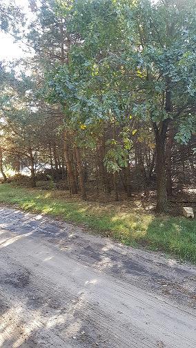 kilkudziesięcioletnim drzewostanem (głównie sosna i świerk),