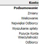 główne i będzie zawsze widoczne Podkreślone kwoty można kliknąć aby wyświetlić