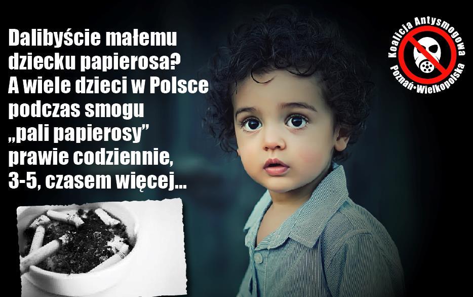 Koalicja
