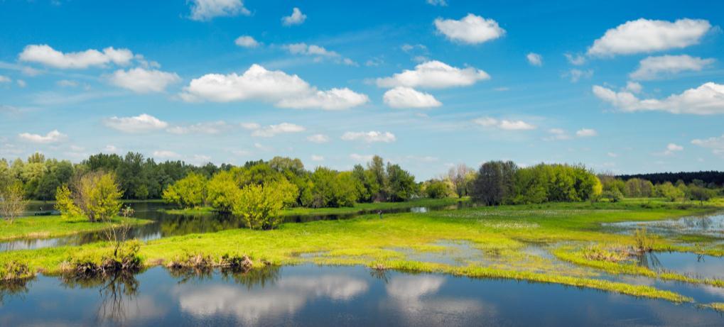 OPRACOWANIE AKTUALIZACJI PLANÓW GOSPODAROWANIA