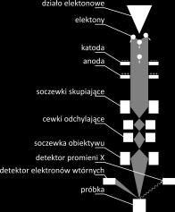 (najistotniejszy sygnał topografia powierzchni), elektrony absorbowane (AE),