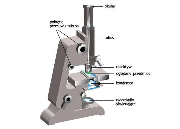 Mikroskopia optyczna Mikroskop optyczny rodzaj mikroskopu, w którym do generowania powiększonego obrazu badanego przedmiotu jest wykorzystywane światło przechodzące przez specjalny układ optyczny