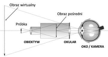 Budowa mikroskopu optycznego część optyczna: źródło światła (dawniej zwierciadło, obecnie najczęściej żarówka halogenowa), które służy do naświetlania badanego obiektu.