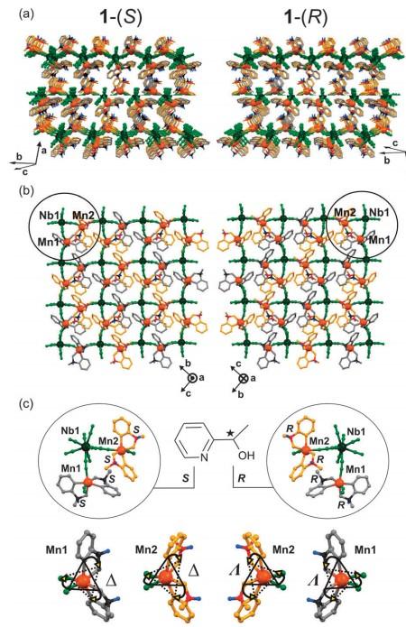 Przypadek 1 {[Mn II R-mpm 2 ] 2 [Nb IV CN