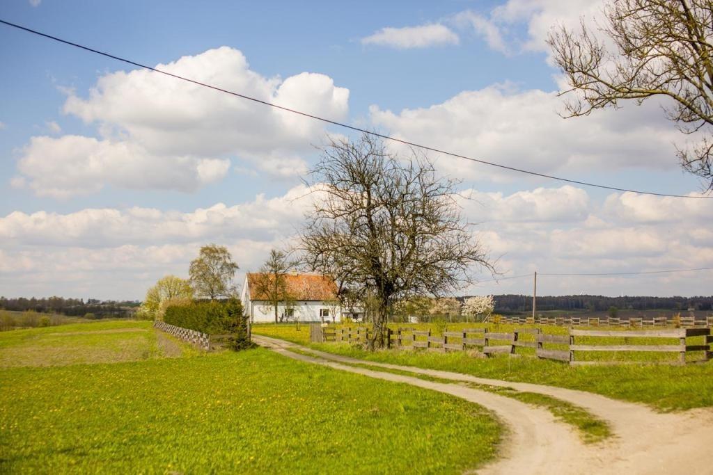 pomieszczenie gospodarcze z wc i prysznicem.poddasze 35,3 m2:- 3 pokoje, przedpokój, łazienka, piec kaflowy.piwnica 14,2 m2 - z pięknym sufitem z czerwonej cegły, w kształcie łuku.