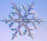 Śnieg- opad atmosferyczny w postaci kryształków lodu o kształtach głownie sześcioramiennych gwiazdek, łączących się w płatki śniegu.