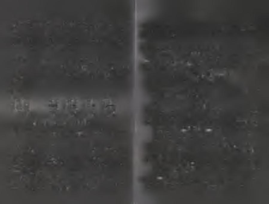 (1,0) lub (0,1). Jeżeli w zbiorze par komórek należących do dwóch różnych kolumn wystąpi przynajmniej jedna para komórek niezgodnych, to takie kolumny nazywamy niezgodnymi.