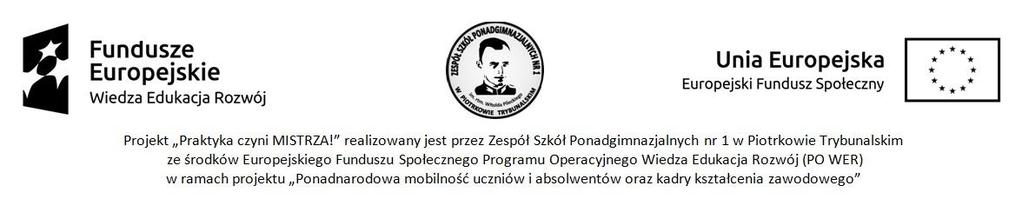 S t r o n a 1 Regulamin rekrutacji uczestników do projektu pn. Praktyka czyni MISTRZA!