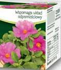 49641285 GRZEŚKI 36 G 37286671 09 z